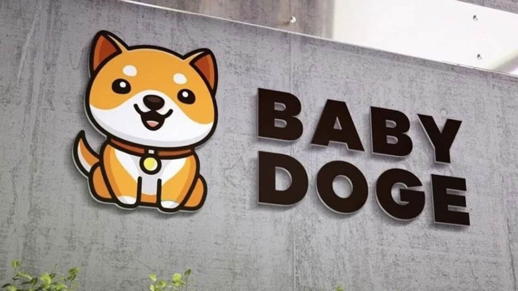Baby Doge Coin Nedir, Nasıl ve Nereden Alınır?